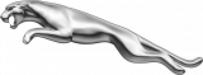 Aucune image 