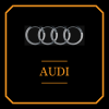 VL-AUDI