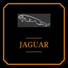 VL-JAGUAR